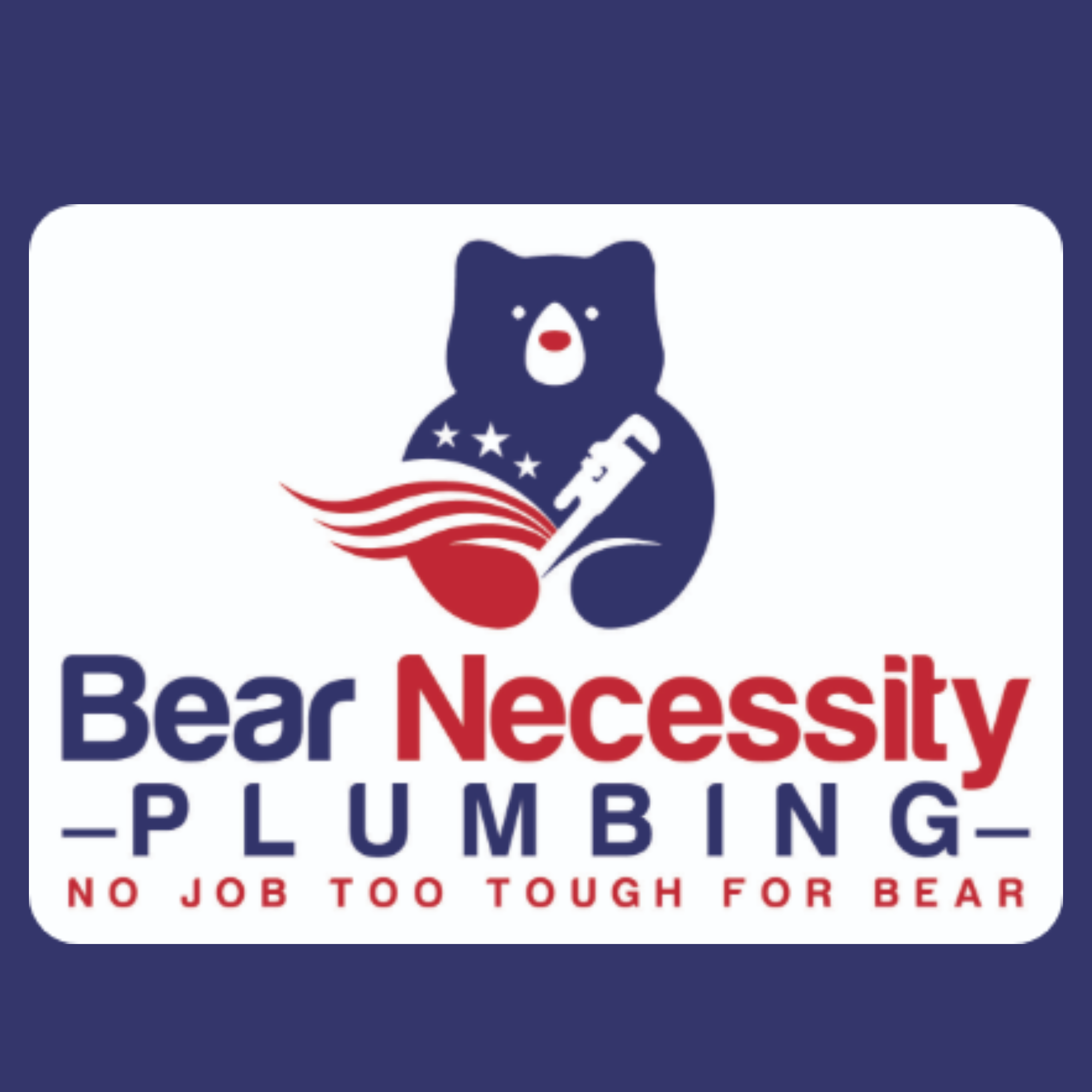 Bear Necessity Plumbing